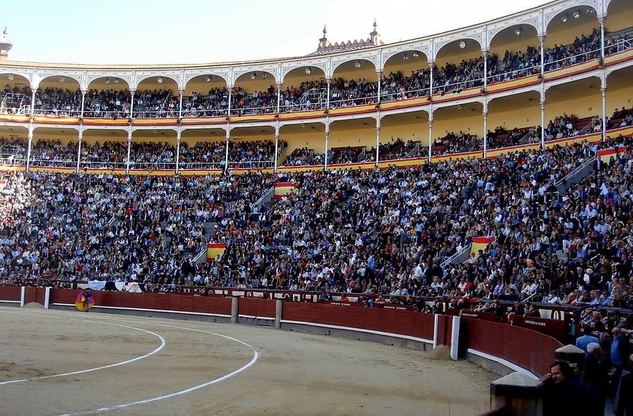 people gathering, stadium, waving, flag, daytime, bullring, bullfighters, arena, bullfighting, entertainment