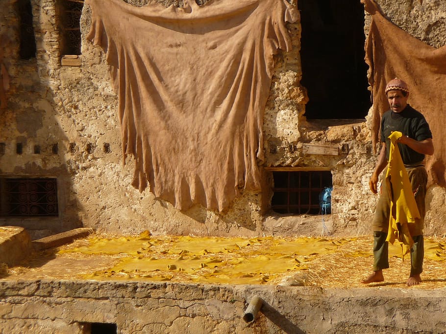 morocco, skins, the tannery, artisans, one person, built structure, architecture, building exterior, standing, day