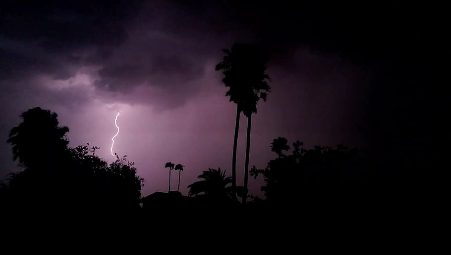 lightening, storm, night, clouds, dark, thunder, thunderstorm, cloud - sky, lightning, silhouette