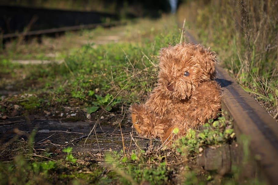 old, teddy, bear, lonely, childhood, loneliness, rail, track, brown, little