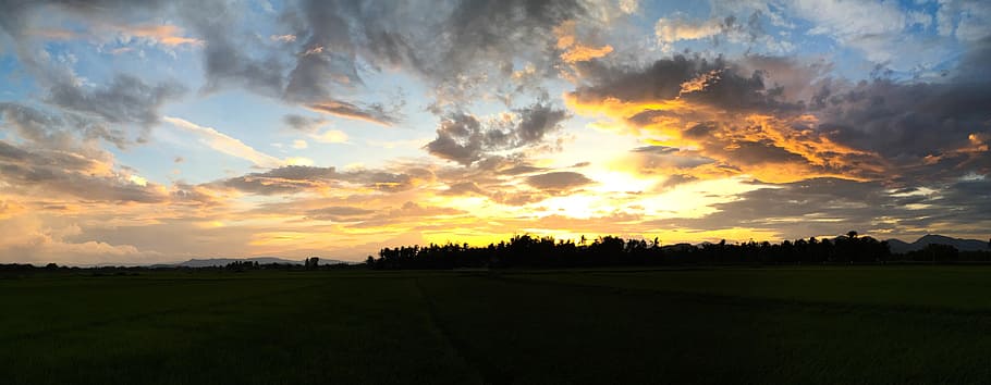 Gato de Phu, puesta del sol, paisaje, cielo, la tarde, campo, campos de arroz, natural, la nube, el campo
