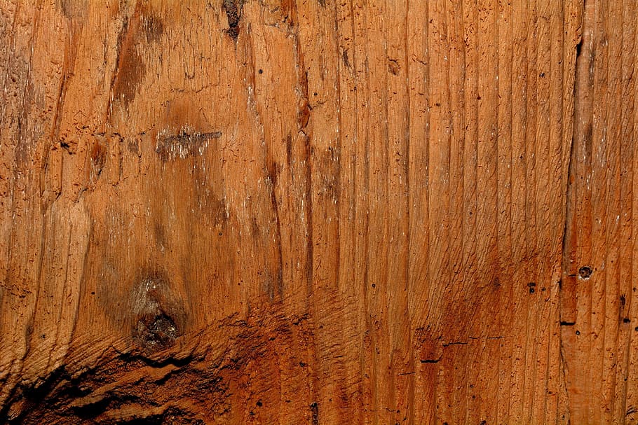 brown tree bark, solid wood, wood, structure, natural product, texture, close, grain, backgrounds, textured