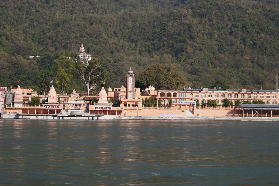 marrón, hormigón, edificios, cuerpo, agua, colina, durante el día, Templo, Rishikesh, India