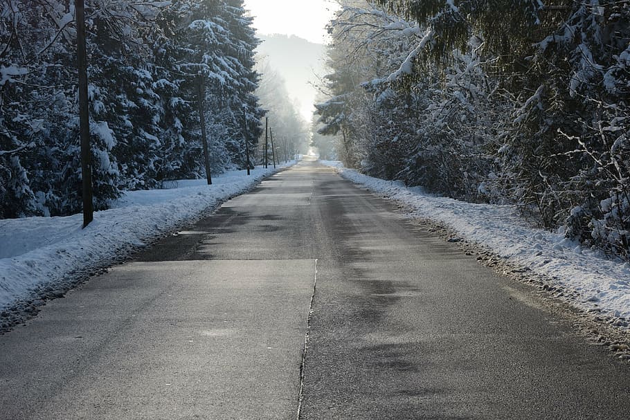 road, winter, snow, wintry, trees, forest, snowy, icy, nature, cold