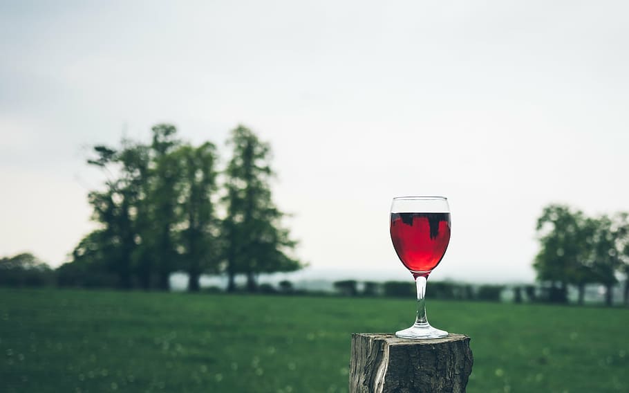 vino de vidrio, madera, soporte, rojo, vino, vidrio, bebidas, verde, hierba, patio de recreo
