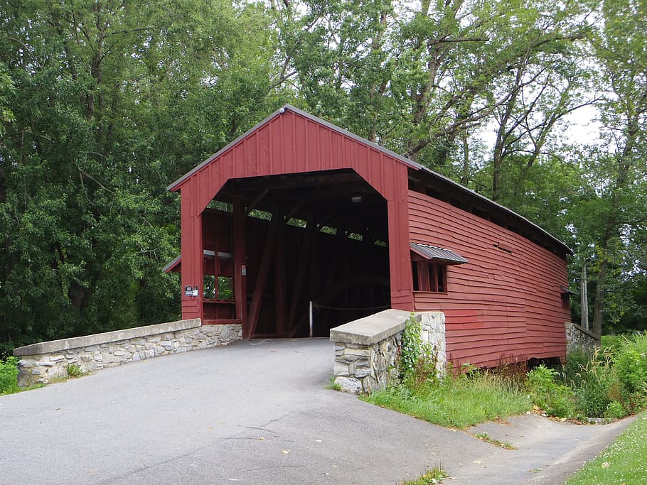 Covered Bridge, Structure, Historic, built structure, tree, wood - material, outdoors, building exterior, forest, architecture