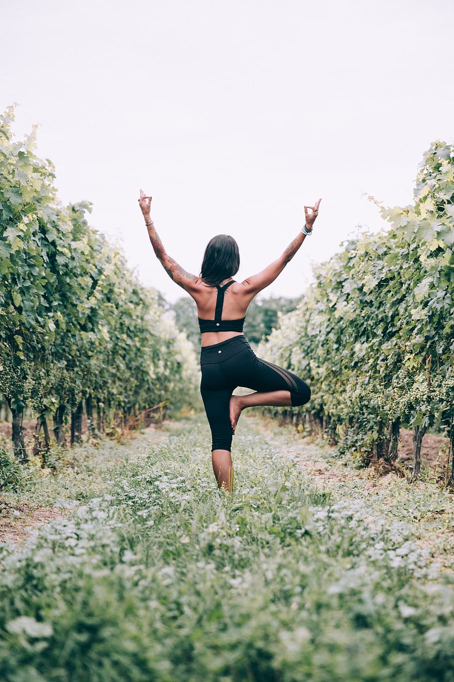 wanita, yoga, pose pohon, kebun anggur, di luar rumah, alam, cocok, aktif, sehat, meregang