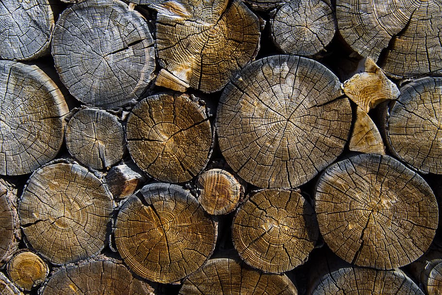 closeup, foto, tumpukan, abu-abu, log, kayu, logging, kehutanan, mentah, cemara