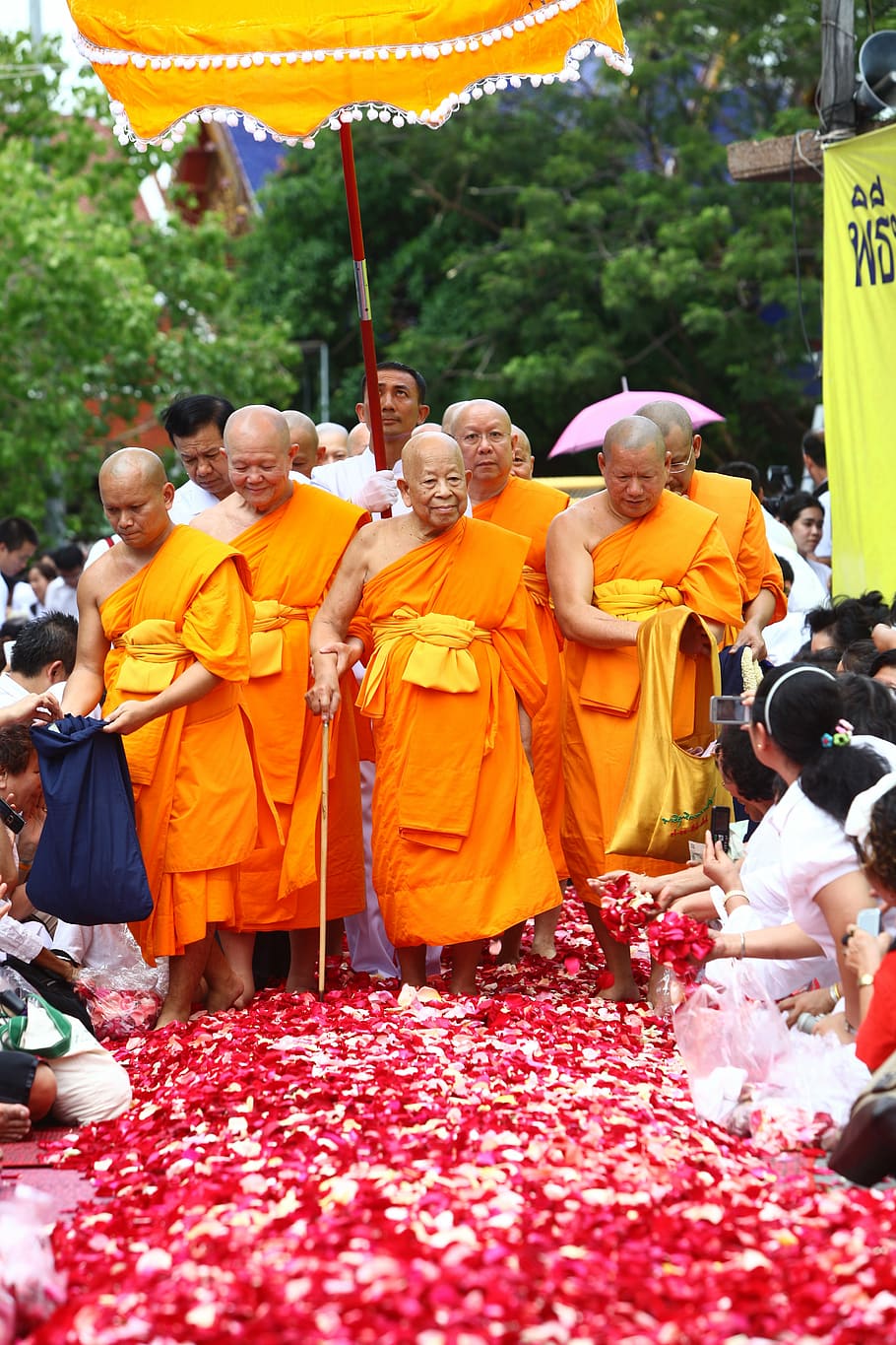 buddhists, supreme patriarch, patriarch, priests, monk, orange, robes, walk, rose petals, thailand