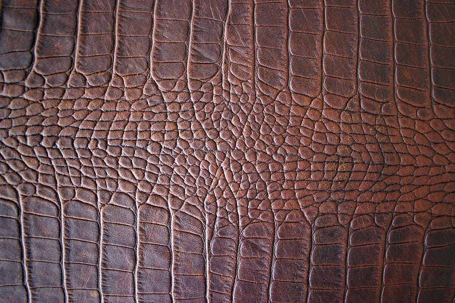 Piel de cocodrilo, cuero, marrón, estructura, detalle, cuero marrón, fondos, patrón, piel de animal, cocodrilo