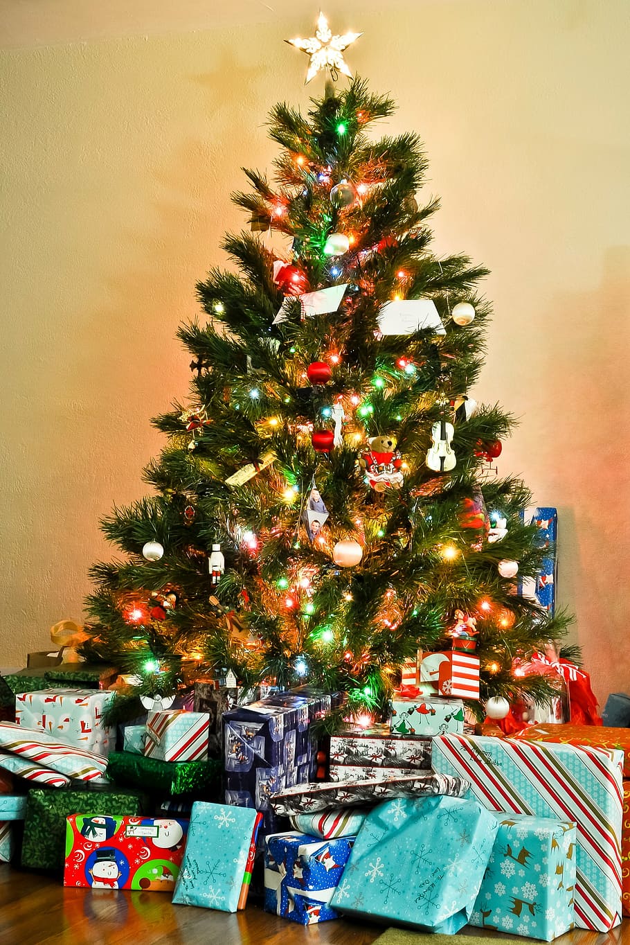 点灯, クリスマスツリー, ギフト, ツリー, クリスマス, お祝い, 文化, 伝統, クリスマスの装飾, クリスマスプレゼント