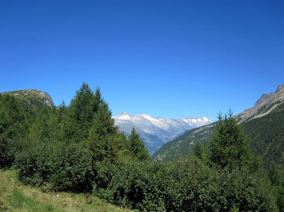 Alpine, Suiza, Naturaleza, verano, paisaje, Alpes suizos, montañas, Cervino, nieve, Zermatt