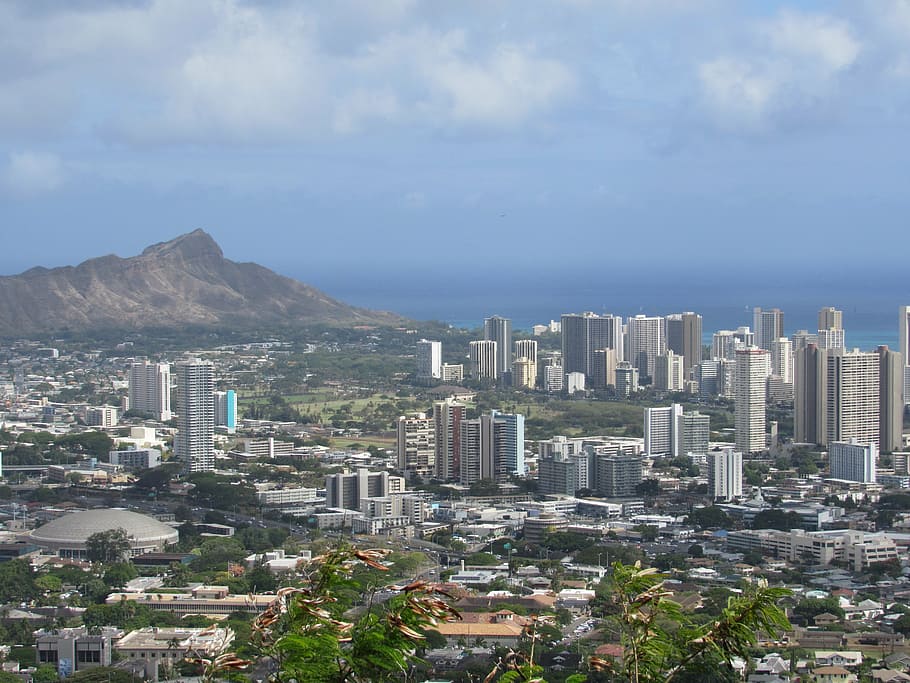 aerial, photography, urban, city, daytime, hawaii, oahu, diamond head, hawaiian, beach