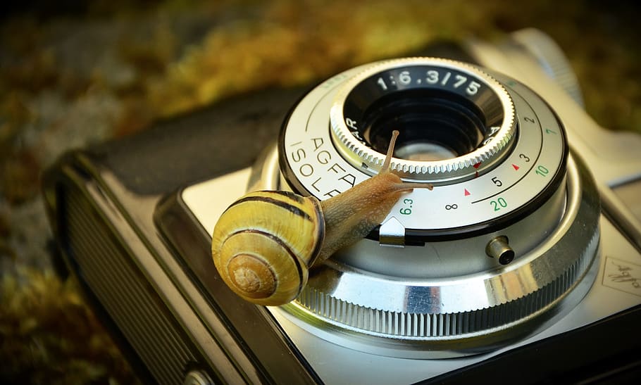 amarillo, marrón, caracol, plata lente de la cámara réflex, cámara, antiguo, gusano de cinta, lente, nostalgia, cámara antigua