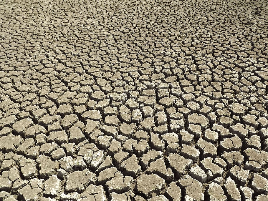 dry, cracked earth, backcountry, drought, full frame, cracked, backgrounds, climate, arid climate, pattern