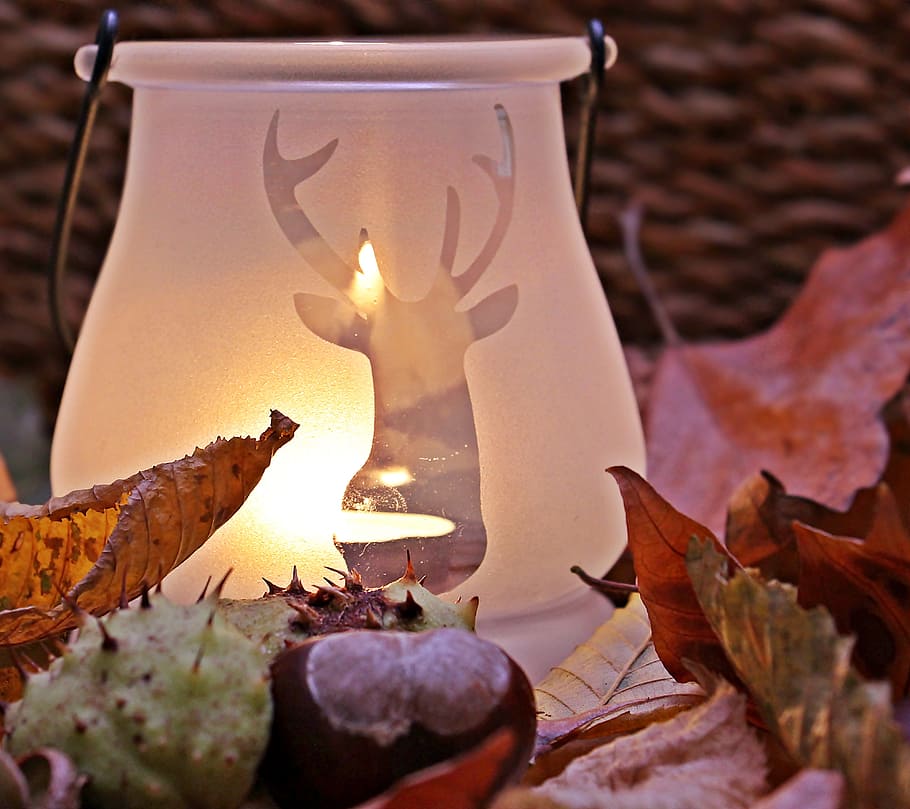 whit, reindeer, print, table, lamp, surrounded, leaf, autumn mood, autumn, fall leaves