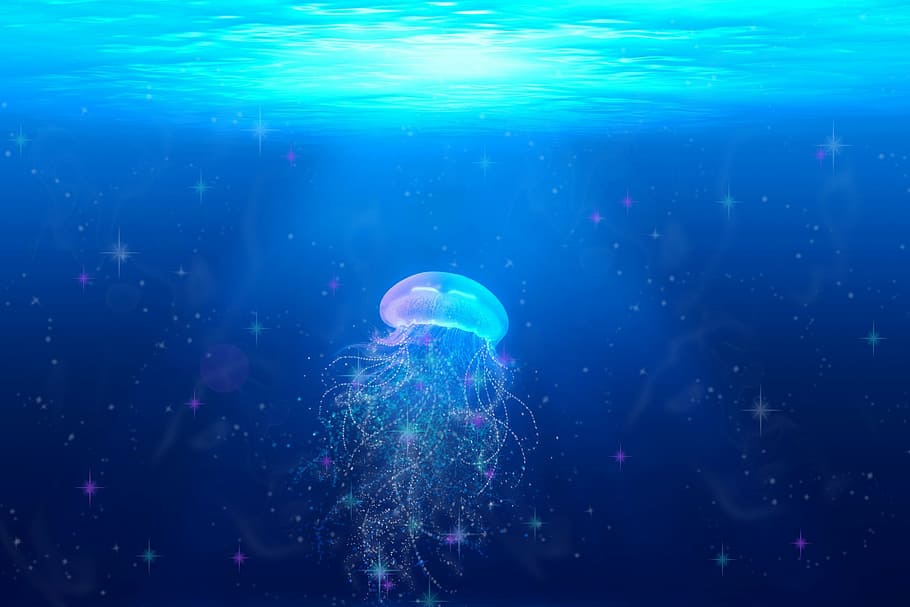 medusas, cuerpos, papel tapiz de agua, fantasía, brillo, azul, agua, bajo el agua, animales marinos, natación