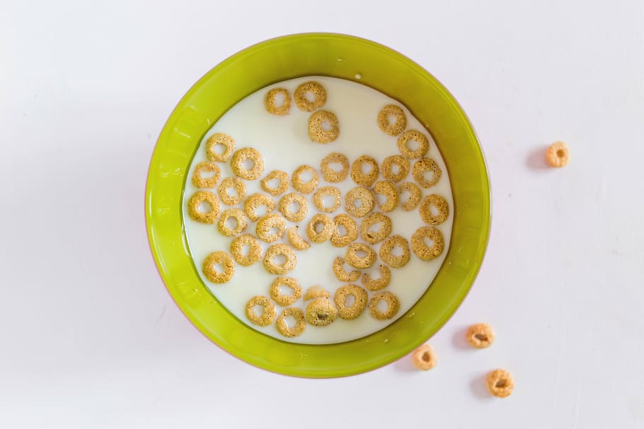 cereal, white, green, plate, still, photography, cereals, milk, served, bowl
