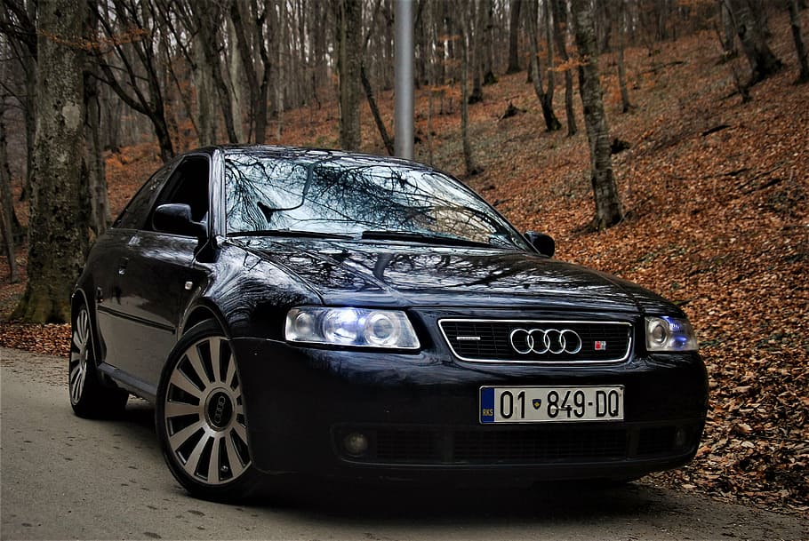 Negro, Audi sedán, estacionado, medio, bosque, Audi, automóvil alemán, motor, automóvil, diseño