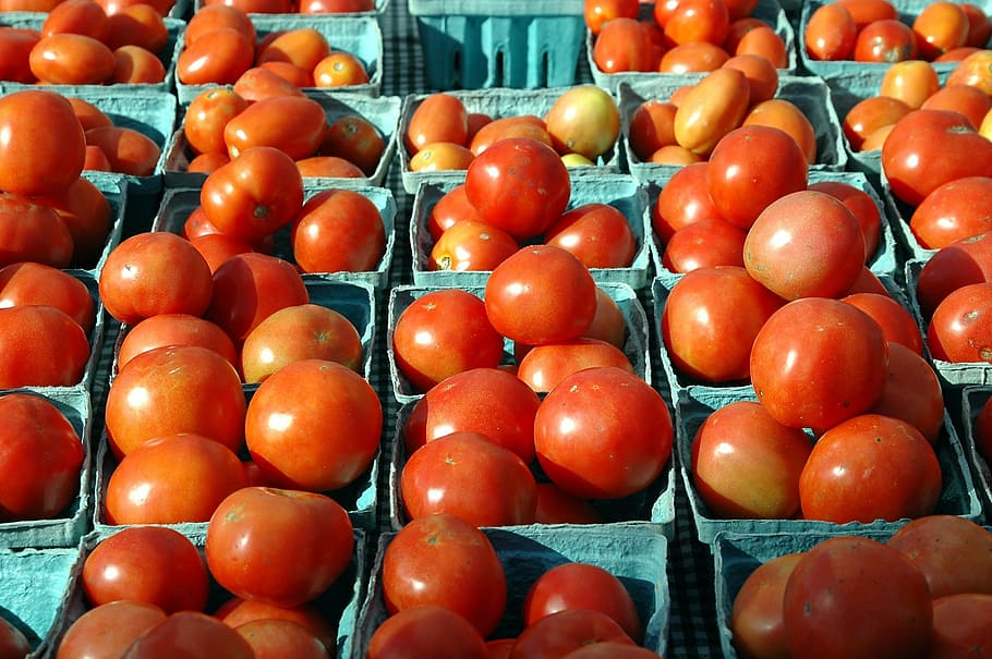 tomate, à venda, fruta, saboroso, vermelho, comida, mercado, orgânico, venda, mercearia