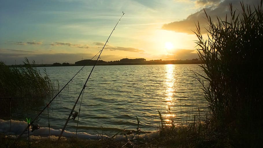 peixe, tarde, pôr do sol, beira do lago, varas de pesca, pesca, céu, tranquilidade, beleza natural, cena tranquila
