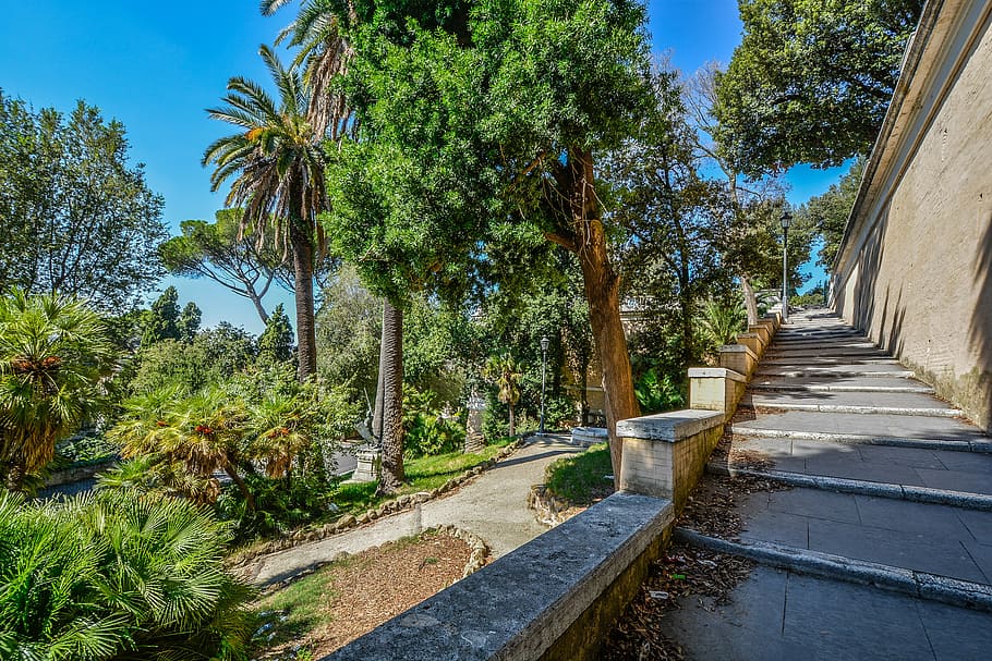 rome, borghese, gardens, italy, steps, trees, italian, villa, roman, tree