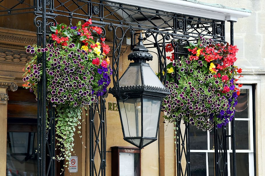 flores, cestos, lâmpada, ornamentais, wiltshire, dedica, entrada, flor, Planta de florescência, Exterior do edifício