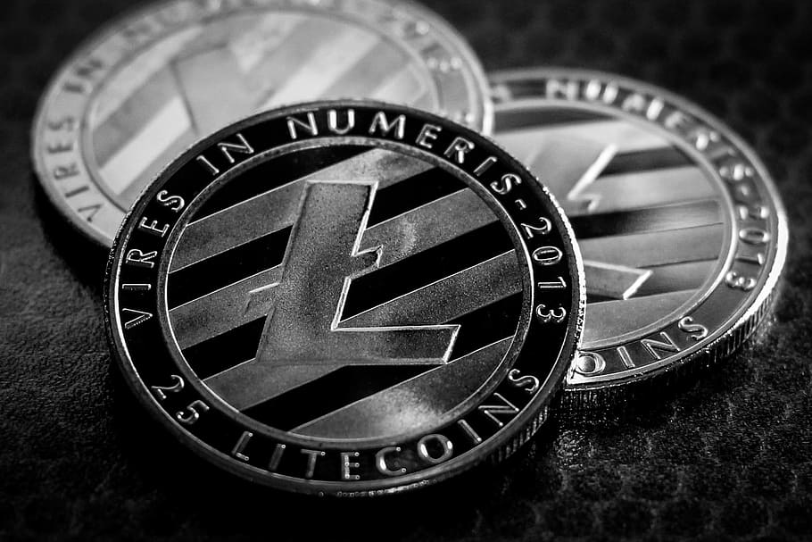 litecoin, business, finance, financial, coin, cryptocurrency, wealth, money, currency, payment