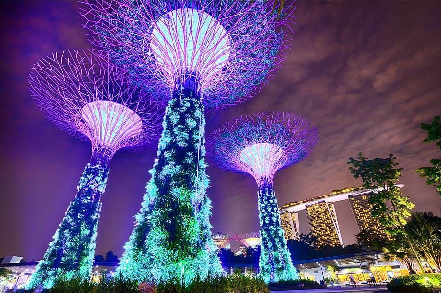 lighted, trees, park, night time, singapore, gardens by the bay, long exposure, marina bay sands, architecture, modern
