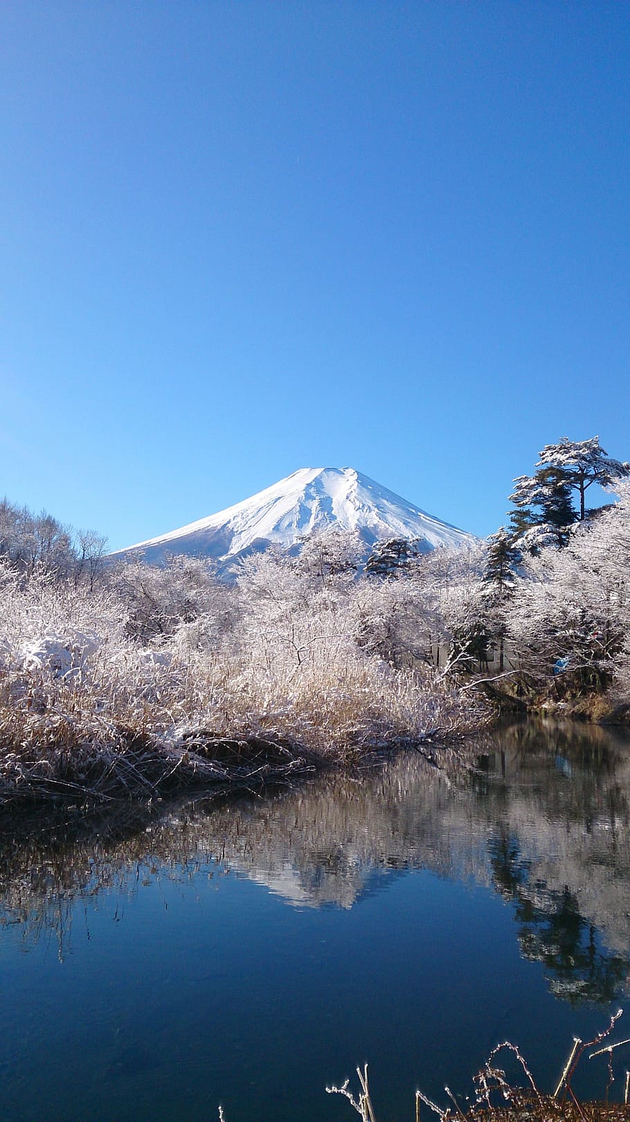 mt fuji, blue sky, mountain, world heritage site, clear skies, winter, sky, no cloud, pond, beauty in nature