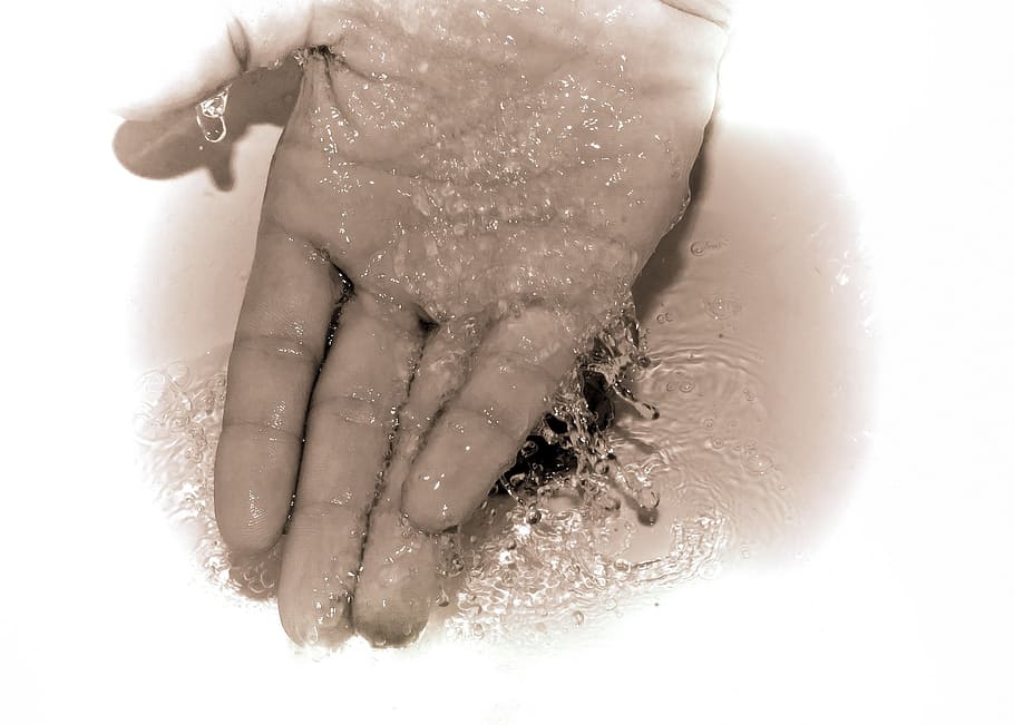 person, hand, water, wash, hands, hygiene, prevent, pure, bacteria, diseases