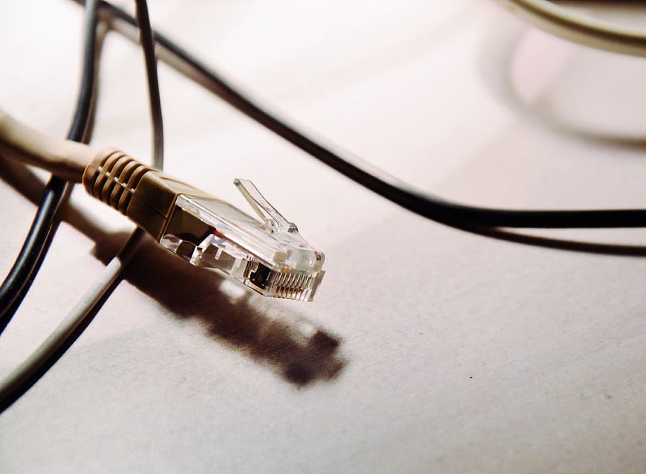 ethernet, cables, technology, internet, business, cable, connection, network connection plug, computer cable, close-up