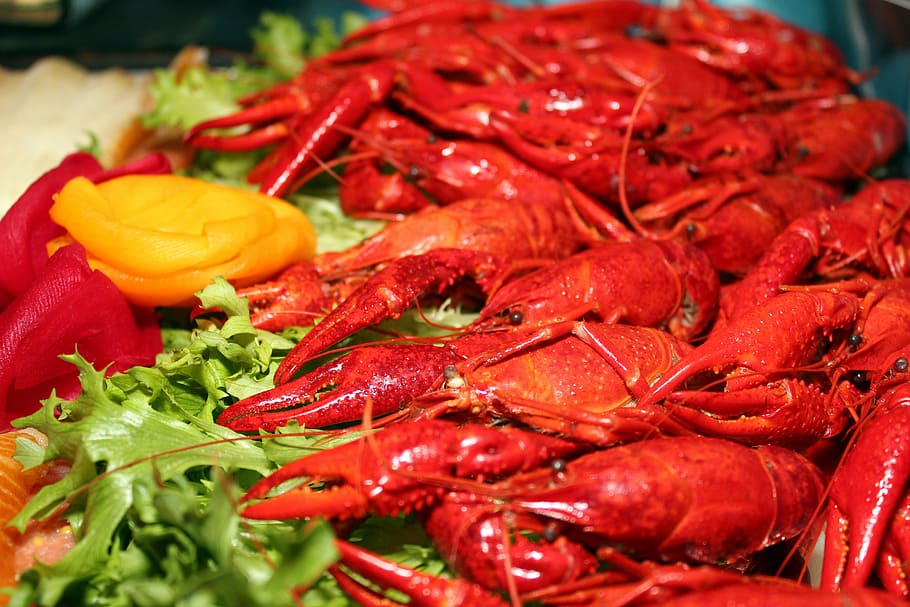 pile, red, crayfishes, shrimp, starter, scampi, food, seafood, delicious, eat