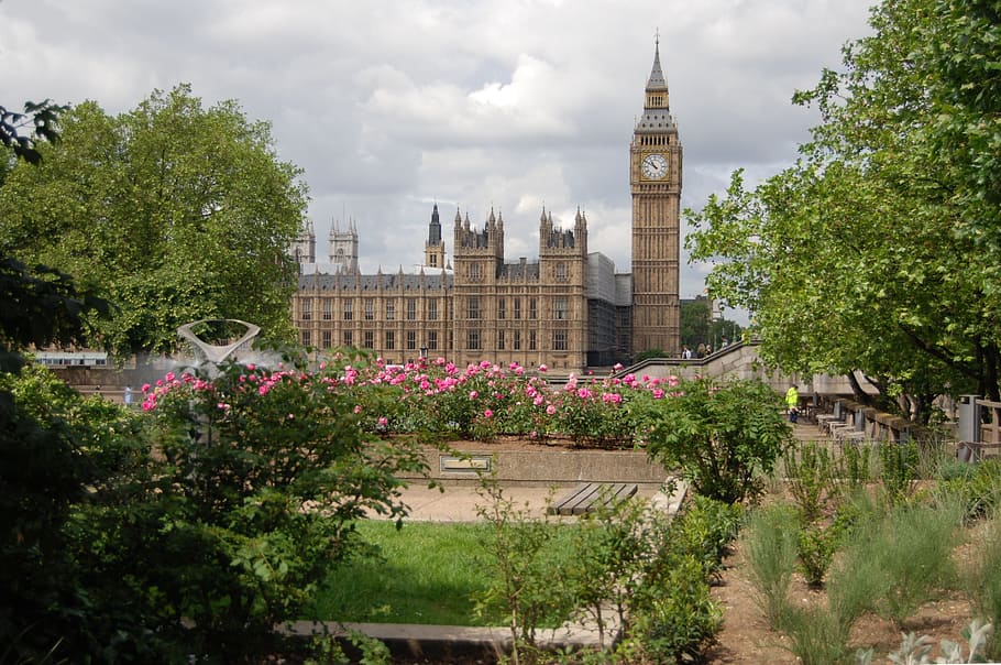 brown, concrete, tower building, daytime, Westminster, Big Ben, Parliament, London, landmark, history
