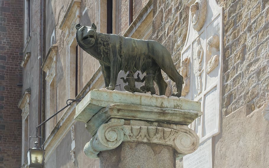 rome, capitoline wolf, place du capitole, capitol hill, sculpture, art and craft, representation, statue, architecture, history