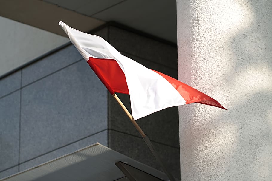 bandeira, polônia, polonês, nacional, branco-vermelho, país, orgulho, paryiotyzm, patryiotyczna, símbolo