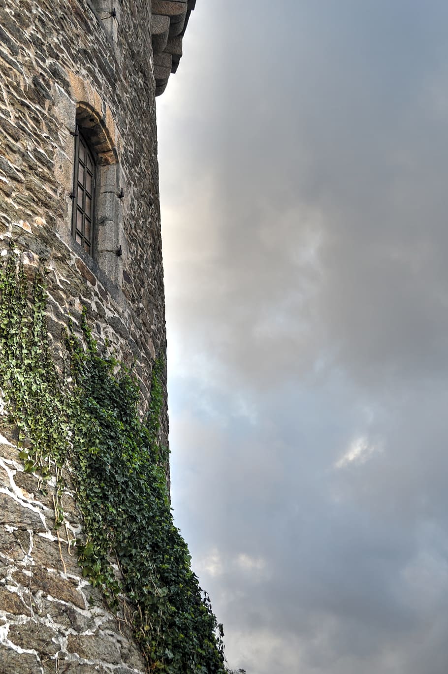 Tower, Old Stone, Heritage, old tower, rustic, english ivy, old building, finistère, brittany, france