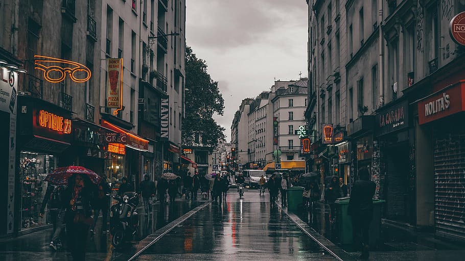 pessoas, andando, rua, segurando, guarda-chuva, chovendo, próximo, edifícios, dia, arquitetura
