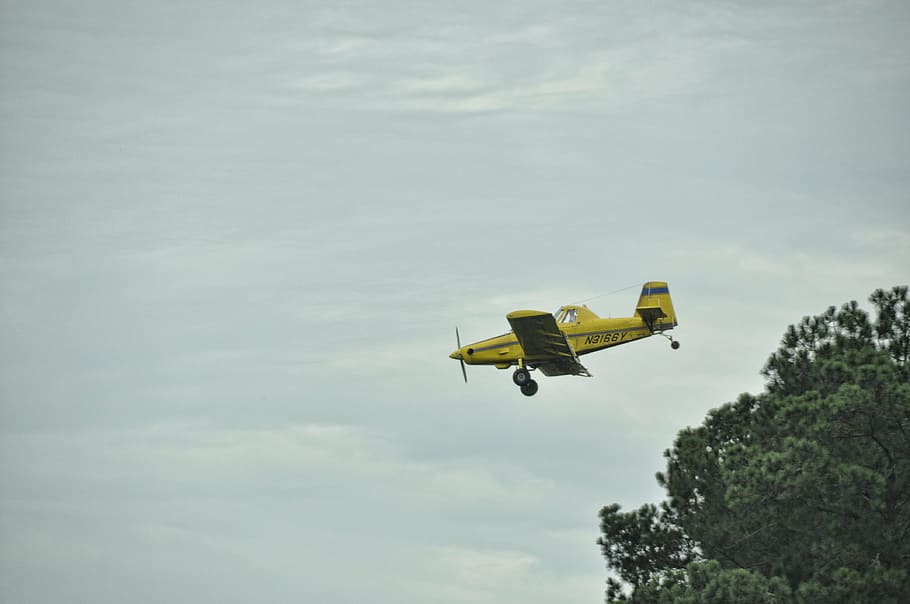 airplane, flight, crop duster, agriculture, yellow, blue, speed, wing, aviation, airport