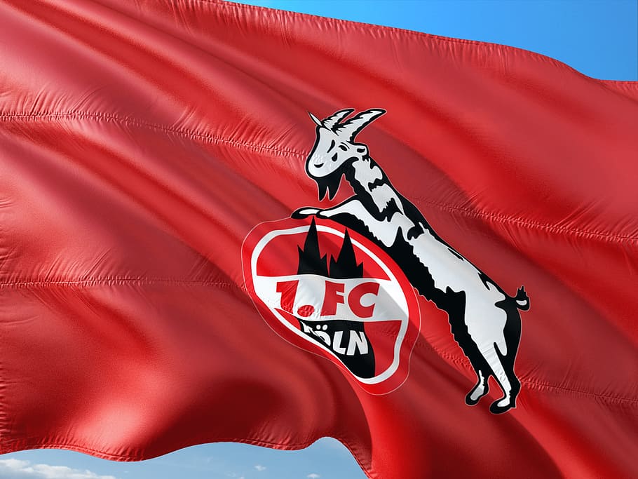 flag, logo, football, bundesliga, 1 fc cologne, red, clothing, mammal, people, arts culture and entertainment