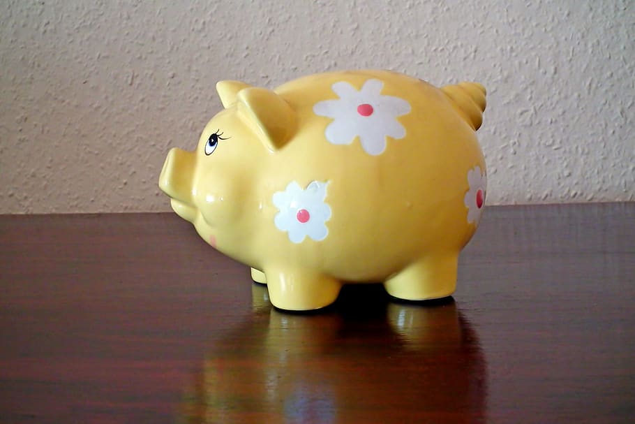 piggybank, świńka, money, coins, reflection, euro banknotes, ceramics, flowers, piggy bank, savings