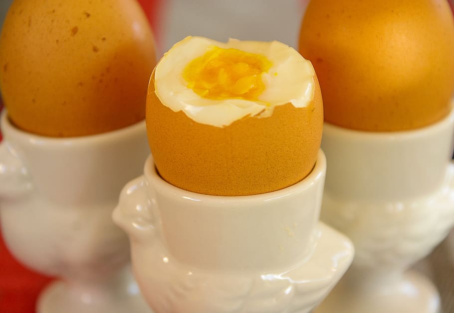 steamed, eggs, white, ceramic, container, boiled eggs, egg cups, hen, food and drink, food
