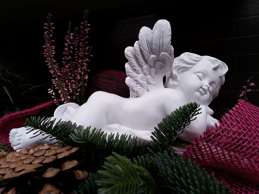 blanco, querubín estatuilla, al lado, rosa, malla textil, ángel, ángel de navidad, navidad, dormir, invierno
