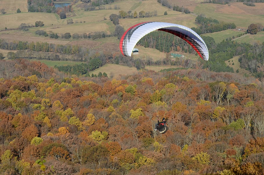 paragliding, adventure bums, hang gliding, sport, leisure, activity, extreme sports, extreme, outdoor, active