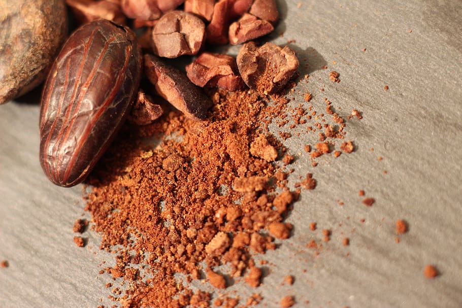 Brown, fotografía de primer plano de nuez, cacao, chocolate, comida, dulce, ingrediente, planta, tropical, postre