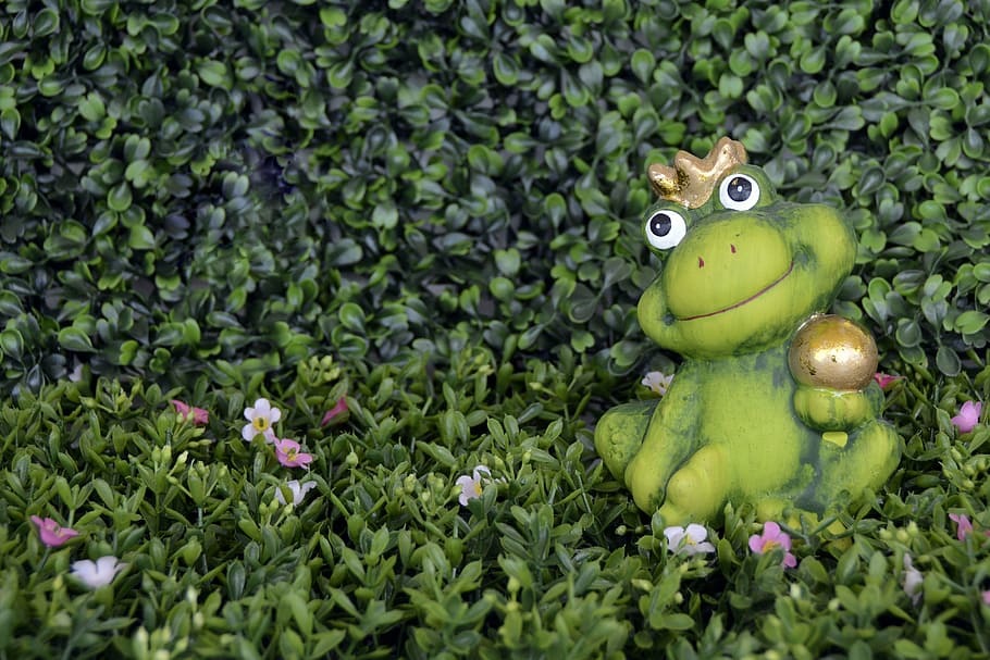 hijau, patung katak, tanaman daun, katak, mahkota, pangeran katak, florencia, bola emas, cium, dongeng