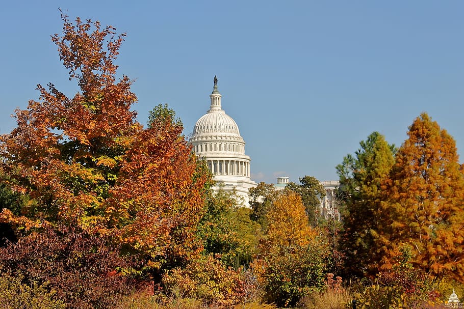 Вашингтон, округ Колумбия, Капитолий, Архитектура, небо, облака, осень, деревья, листва, красочные