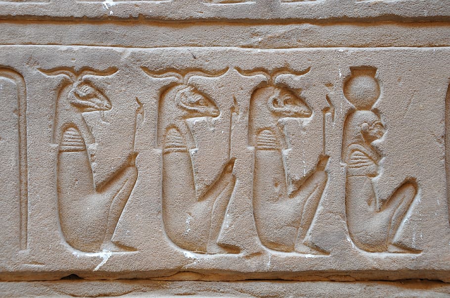 blanco, animal, en relieve, decoración de la pared, Egipto, templo, jeroglíficos, faraón, templo egipcio, viajar