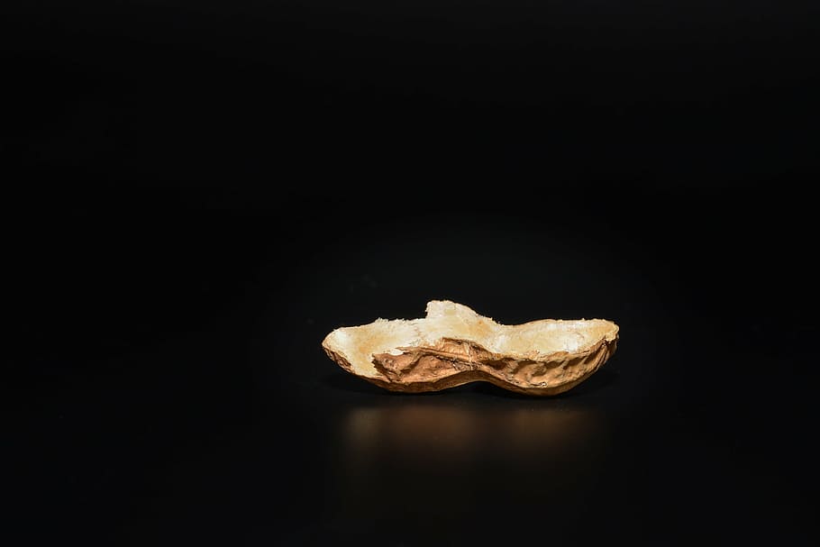 peanut, peanut shell, nutshell, cut in half, empty, close, black background, studio shot, copy space, indoors