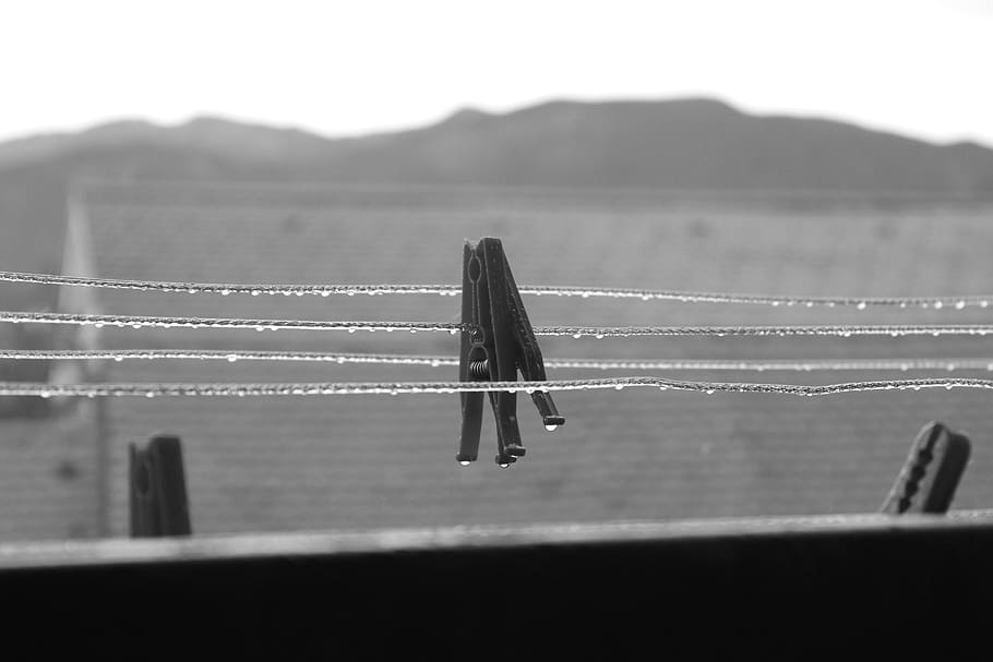 cloth pegs, rain, dry, pin, droplets, focus on foreground, day, nature, clothespin, clothesline